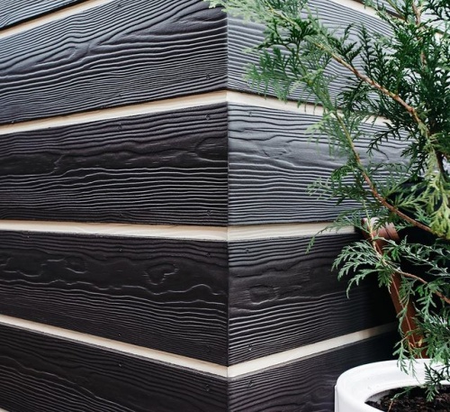 Сайдинг CEDRAL wood (под дерево) С01